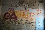 heilanstalt milbitz graffiti_056